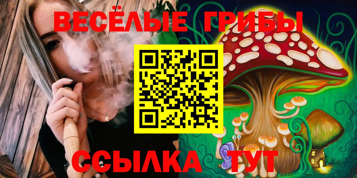 Псилоцибиновые грибы Psilocybe  Вход с VPN  Сургут 